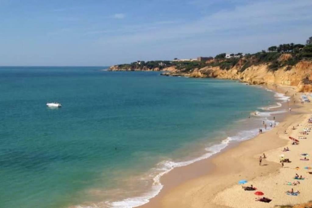 Branqueira Oasis In Olhos De Agua 아파트 외부 사진